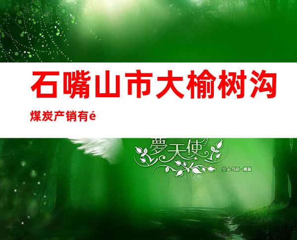 石嘴山市大榆树沟煤炭产销有限公司